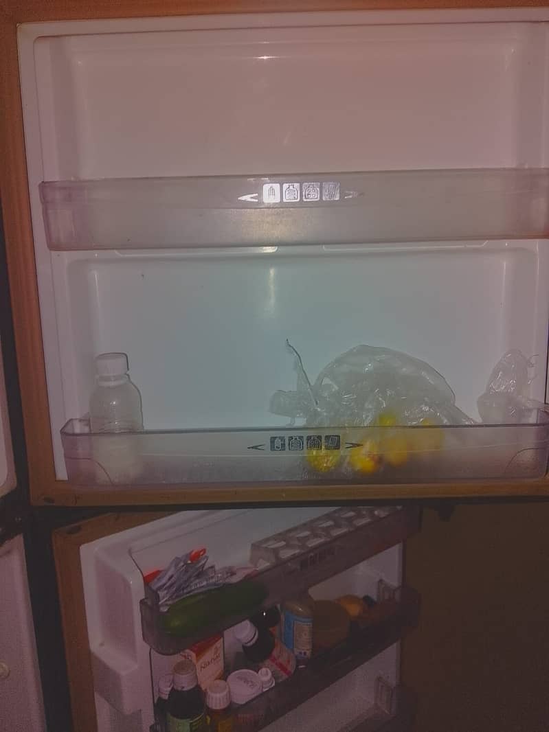 Refrigrator Pell 4