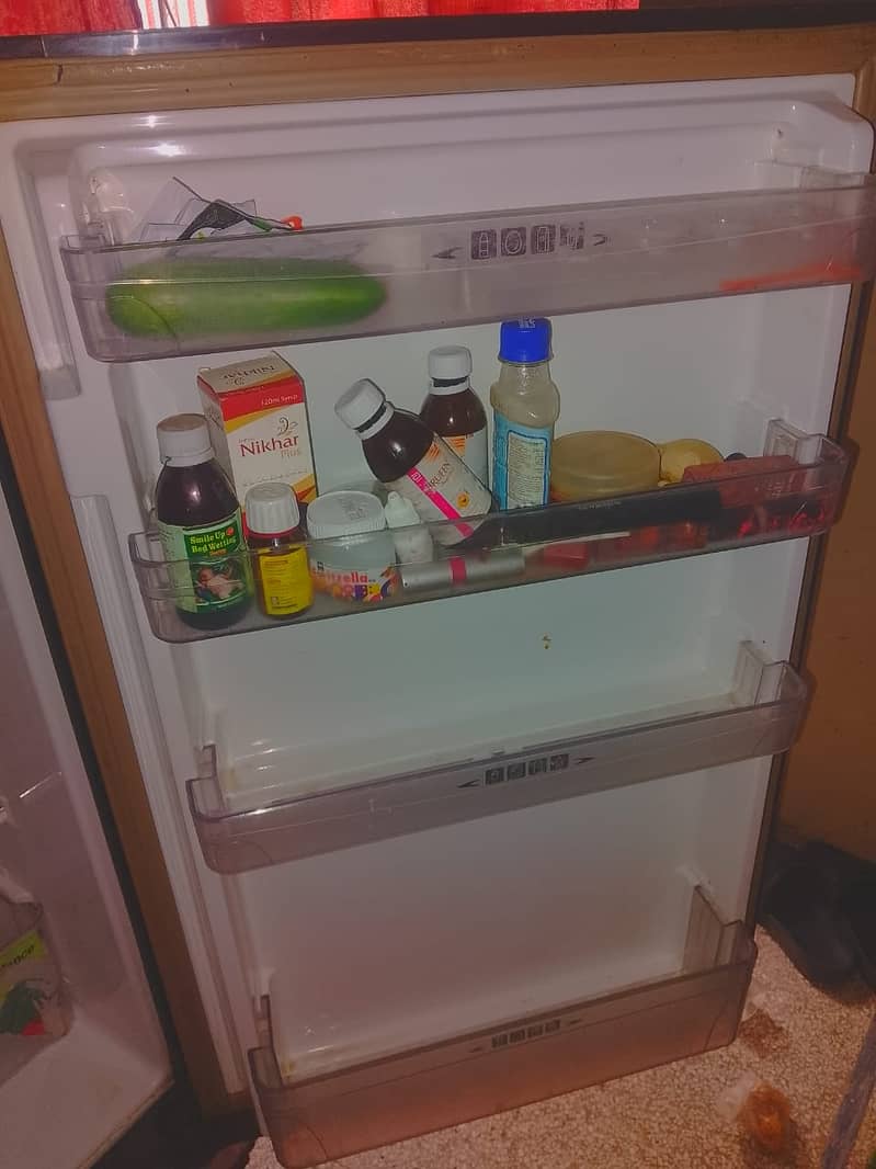 Refrigrator Pell 5