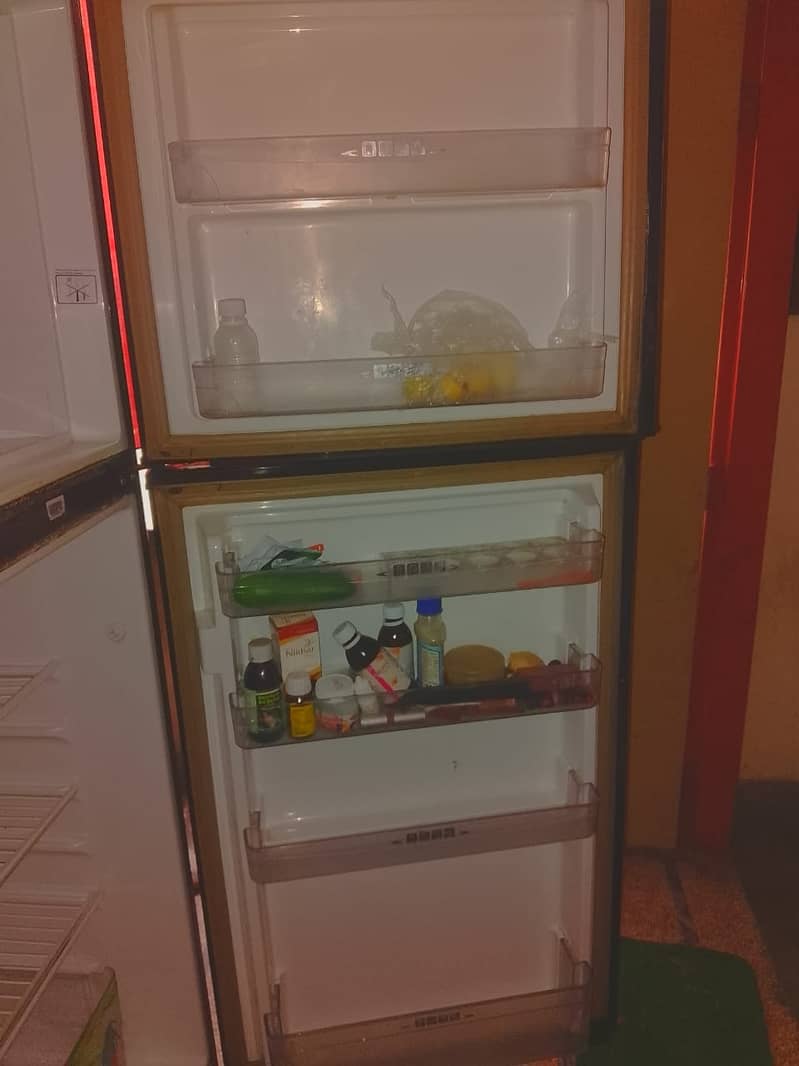 Refrigrator Pell 10