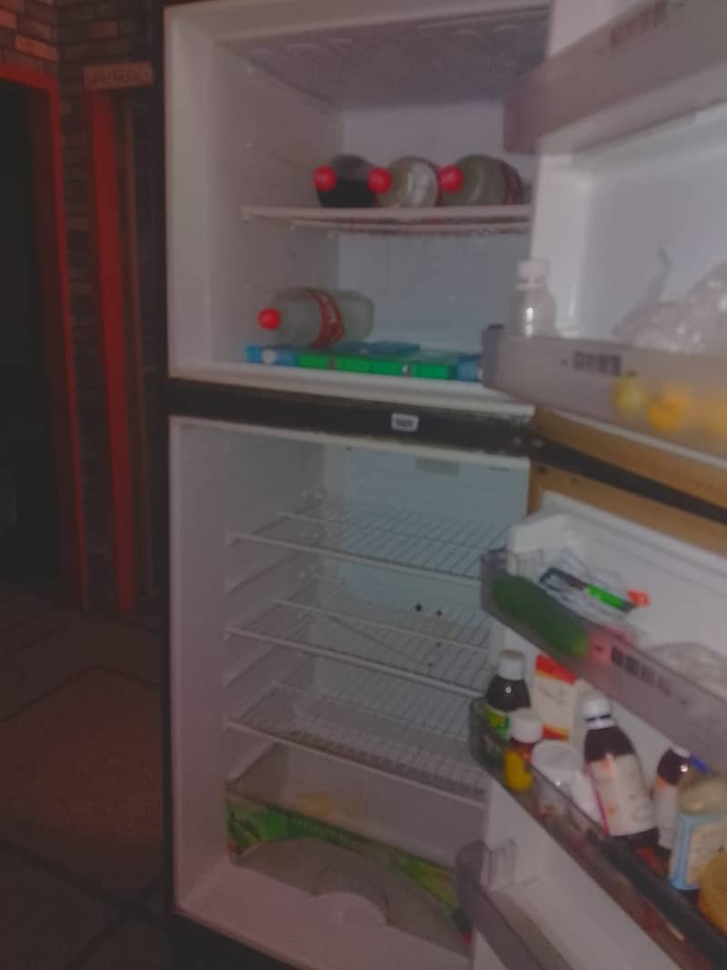 Refrigrator Pell 12