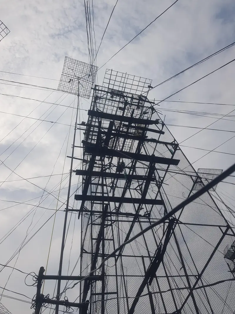 Sare acche kabutar — photo 2