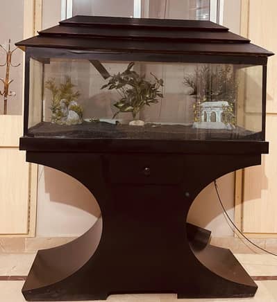 fish aquarium for sale