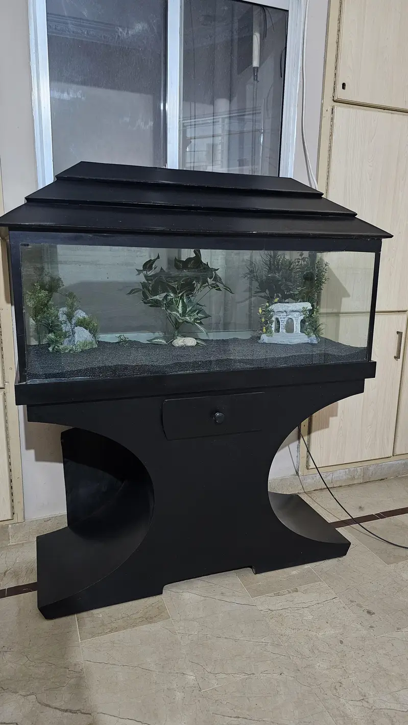 fish aquarium for sale — photo 4
