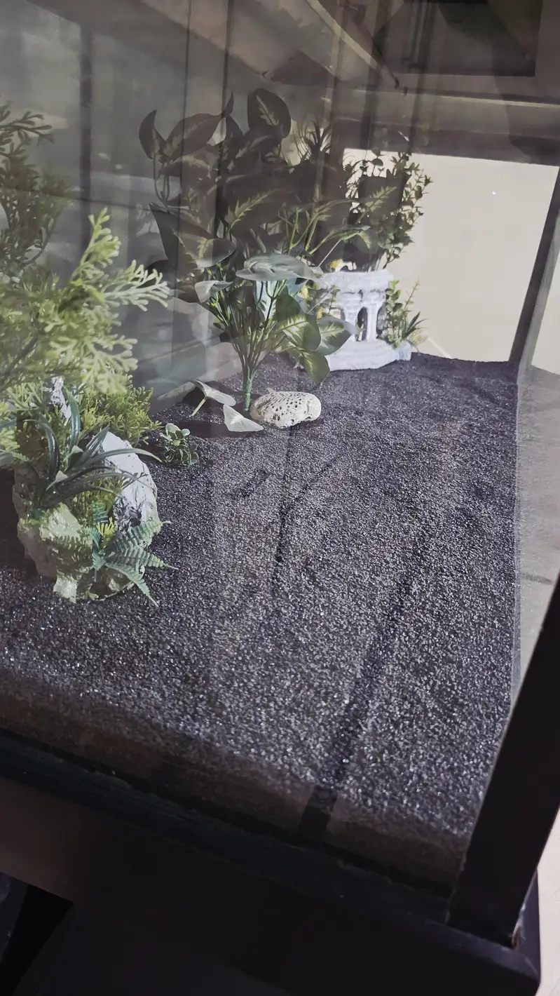 fish aquarium for sale — photo 5