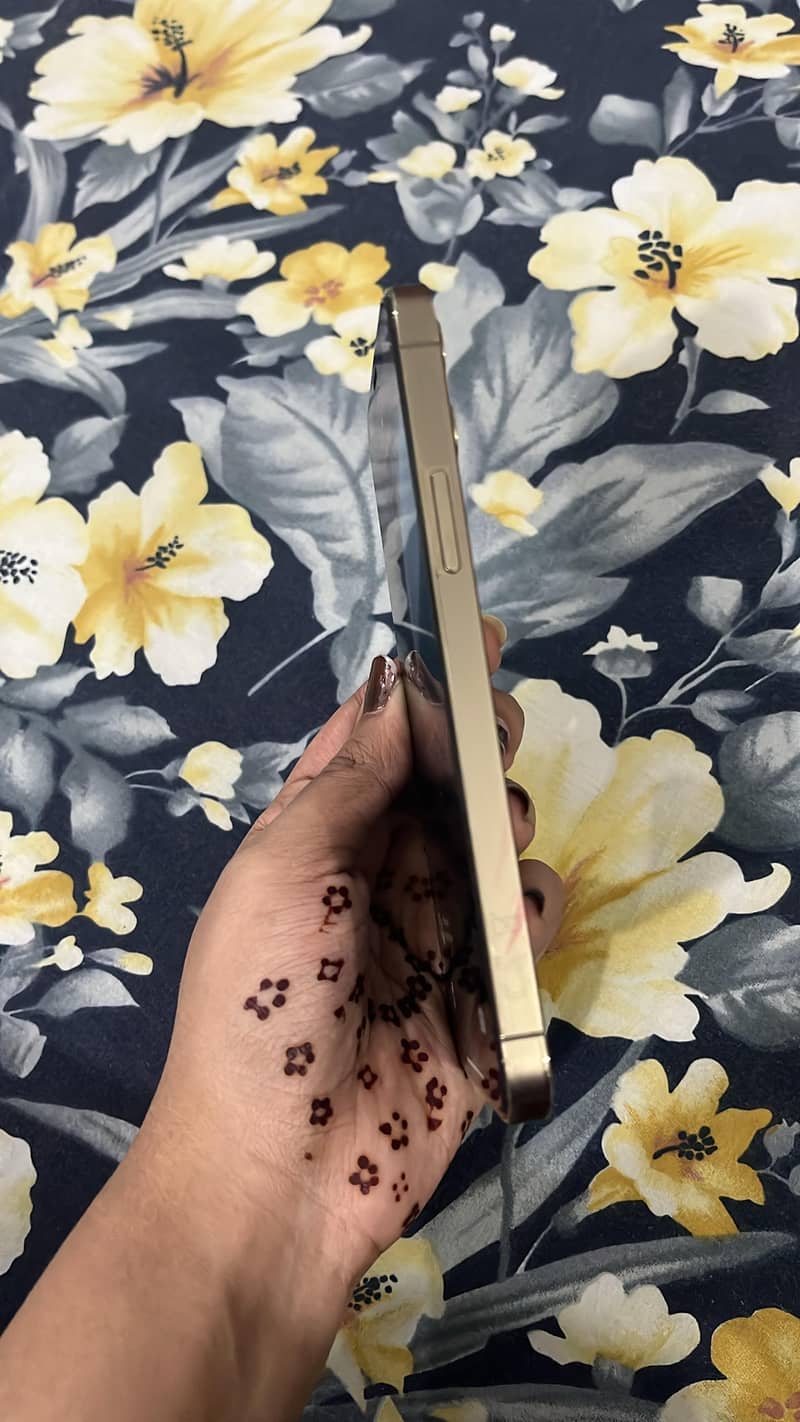 Apple iPhone 12 Pro 1