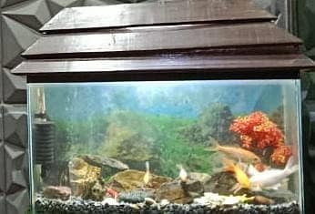 Aquarium 0