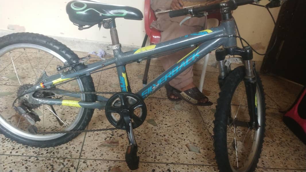 bicycle silver 2