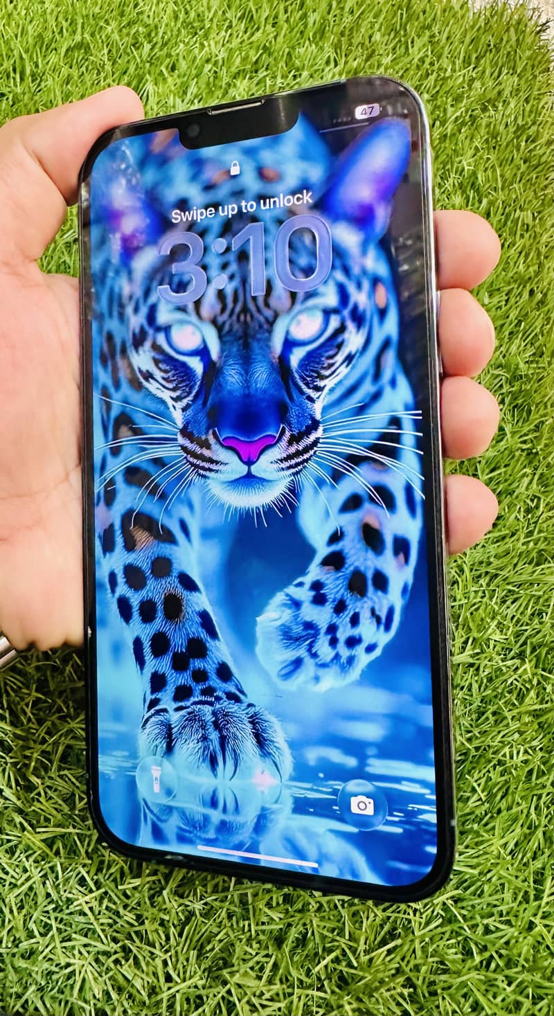 Apple iPhone 13 Pro Max 1
