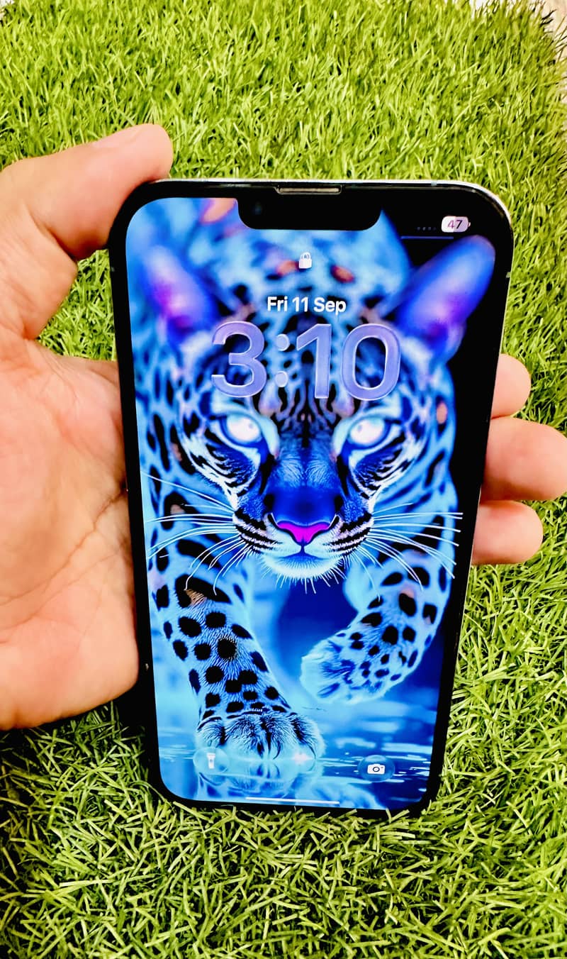 Apple iPhone 13 Pro Max 2