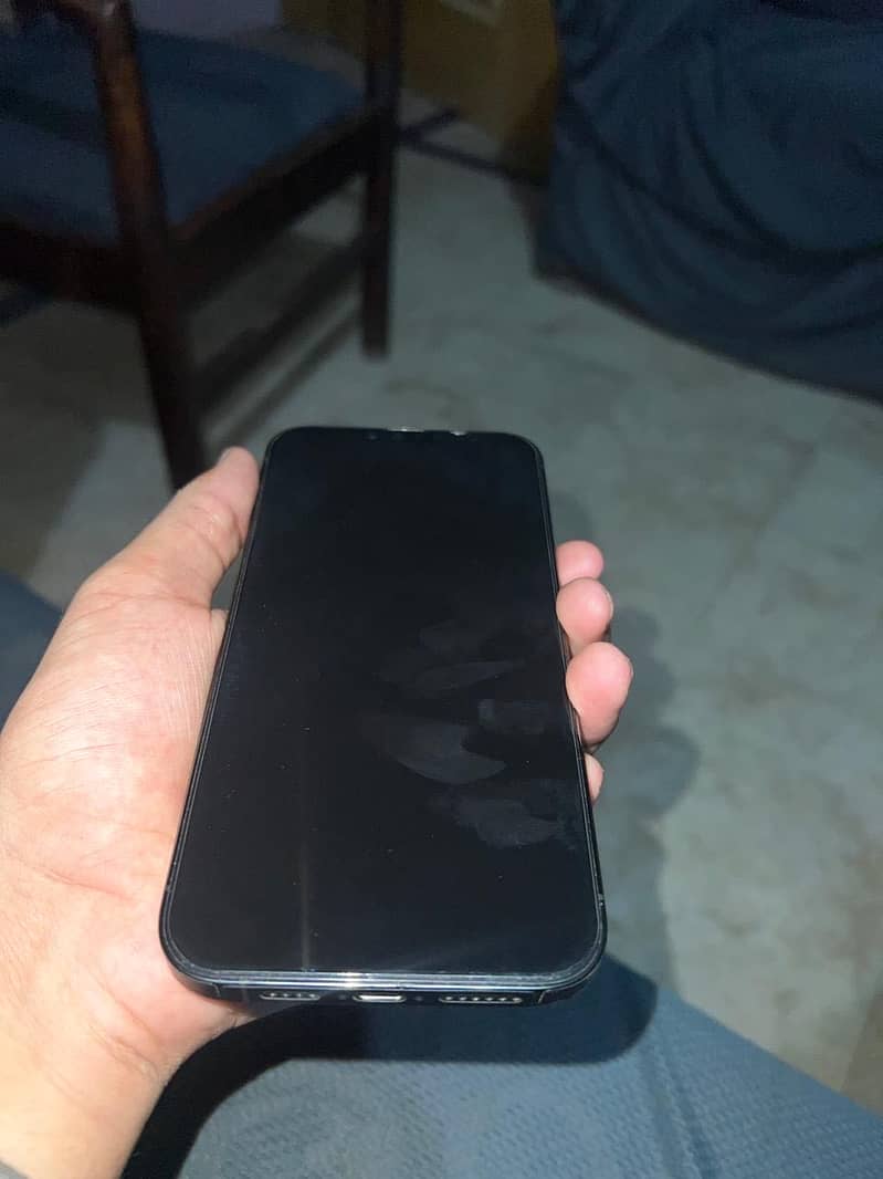 Apple iPhone 13 Pro Max 0