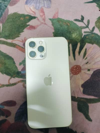 Apple iPhone 12 Pro Max
