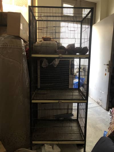 Parrot Cage