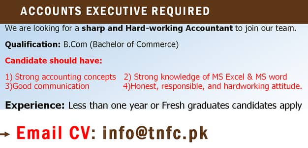 ACCOUNTS EXECUTIVE