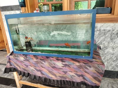 3 fish with aquarium and oxygen machine