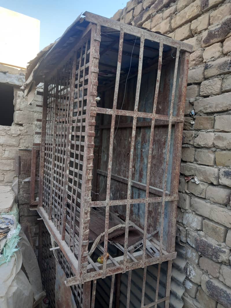 Hen cage 1