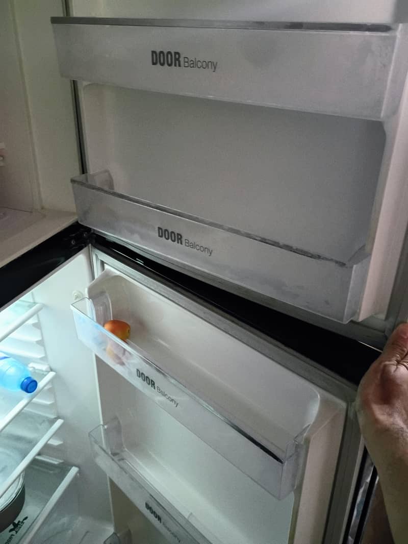 Waves Refrigerator 4