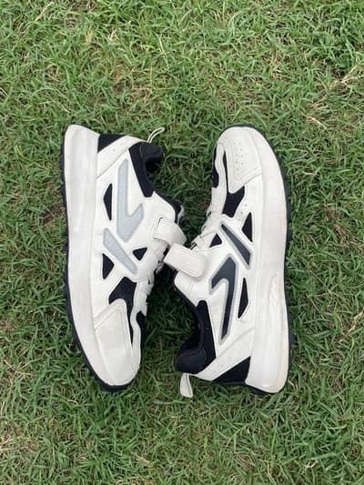 Breathable Sports Sneaker