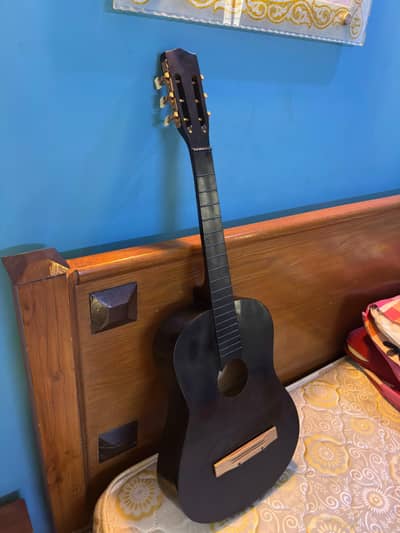 Acoustic Guitar