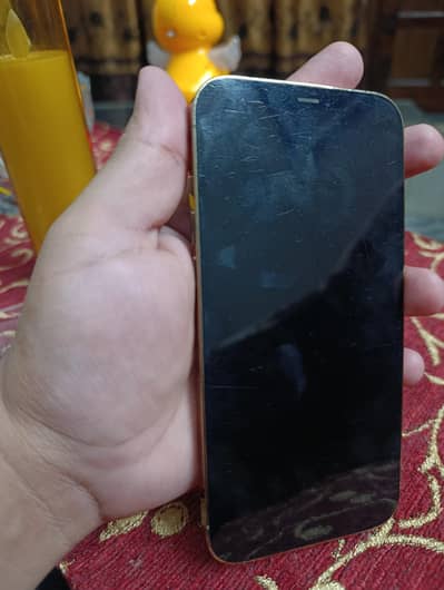 Apple iPhone 12 Pro Max non pta