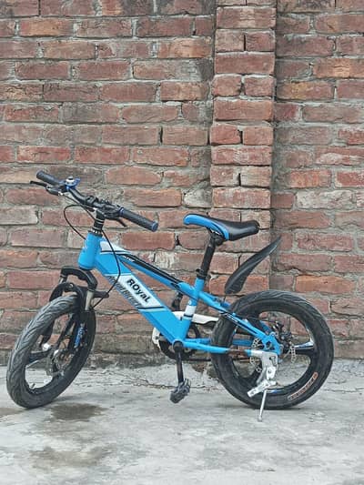 Royal Sports Bicycle