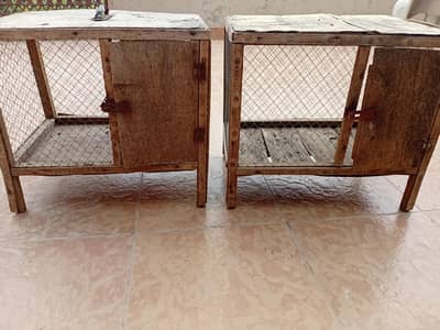 chicks /hen cages
