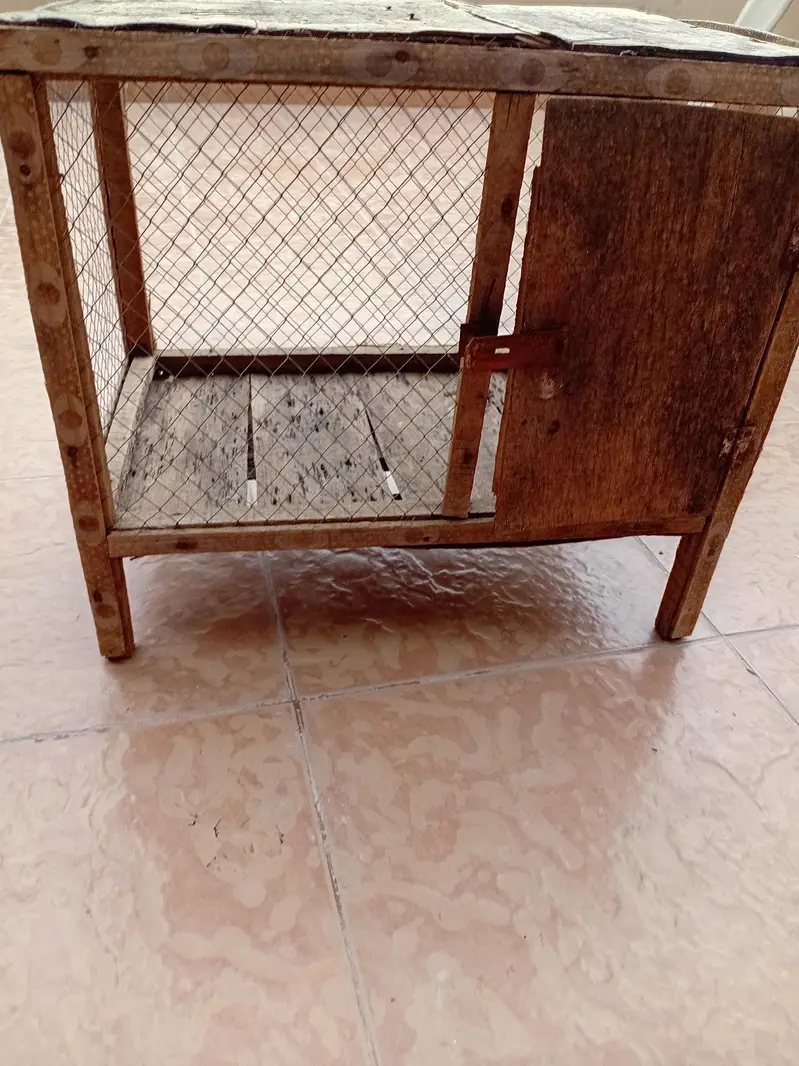 chicks /hen cages — photo 2