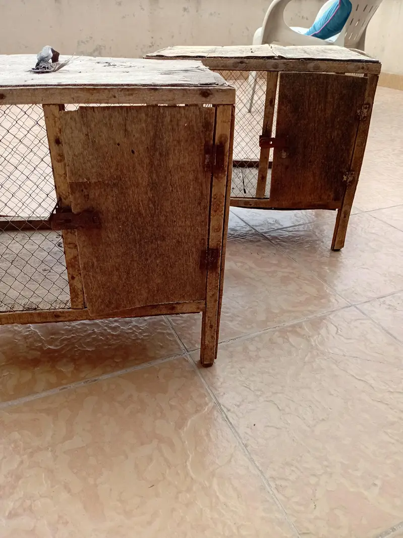 chicks /hen cages — photo 3