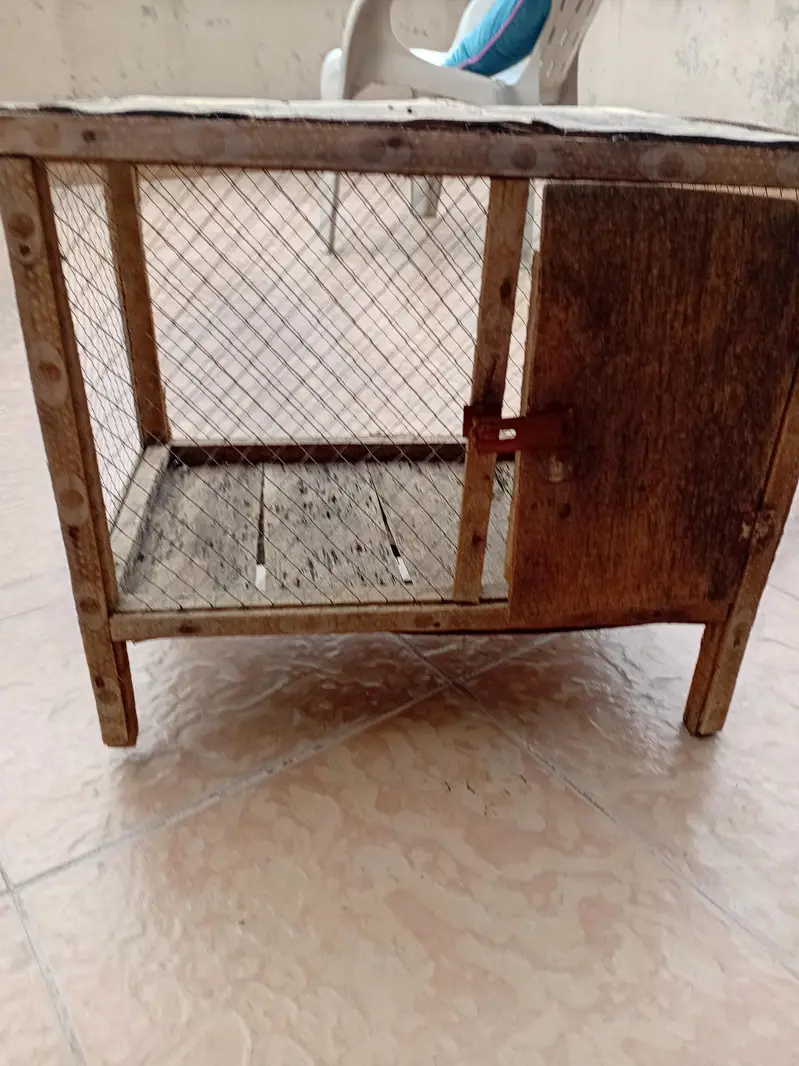 chicks /hen cages — photo 5