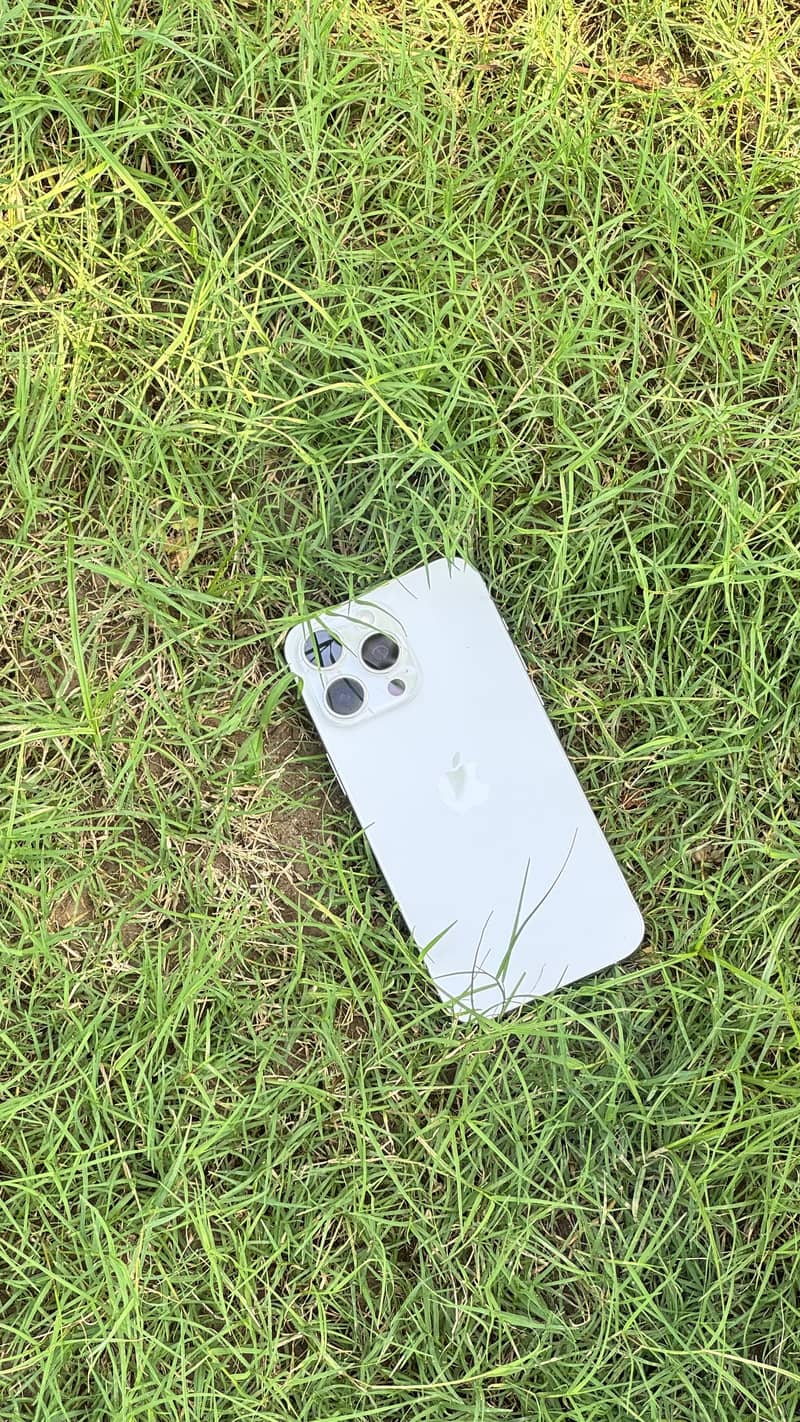 Apple iPhone 15 Pro Max 0
