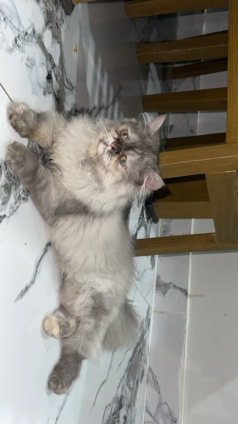 Extreme punch face — photo 6