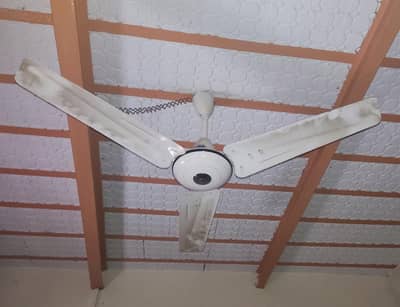 Celling Fan (PAK FAN) AC 220V