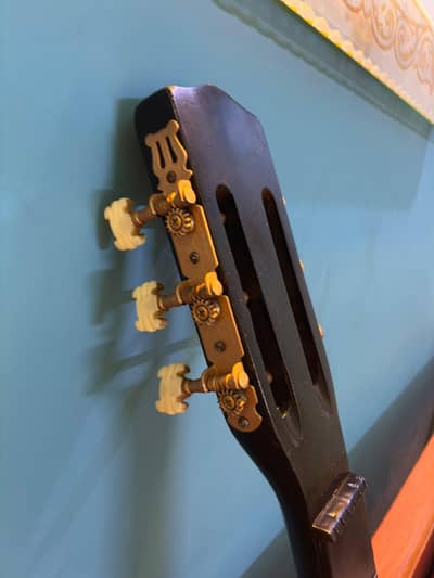 Acoustic Guitar with bag