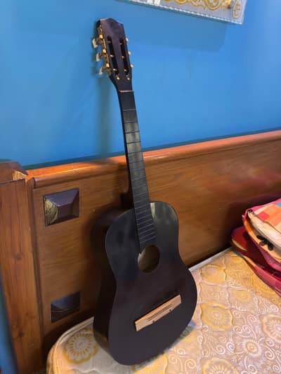 Acoustic Guitar with bag
