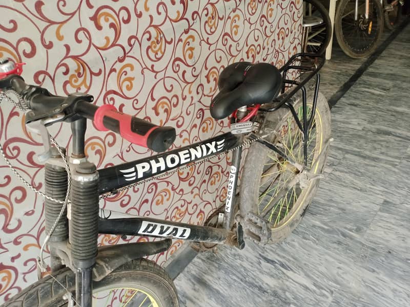 phonix 0