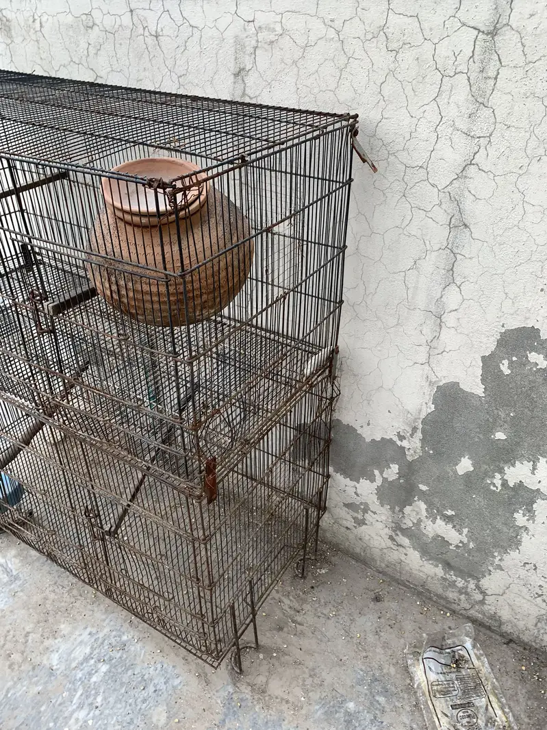 2 birds cages for sale — photo 2