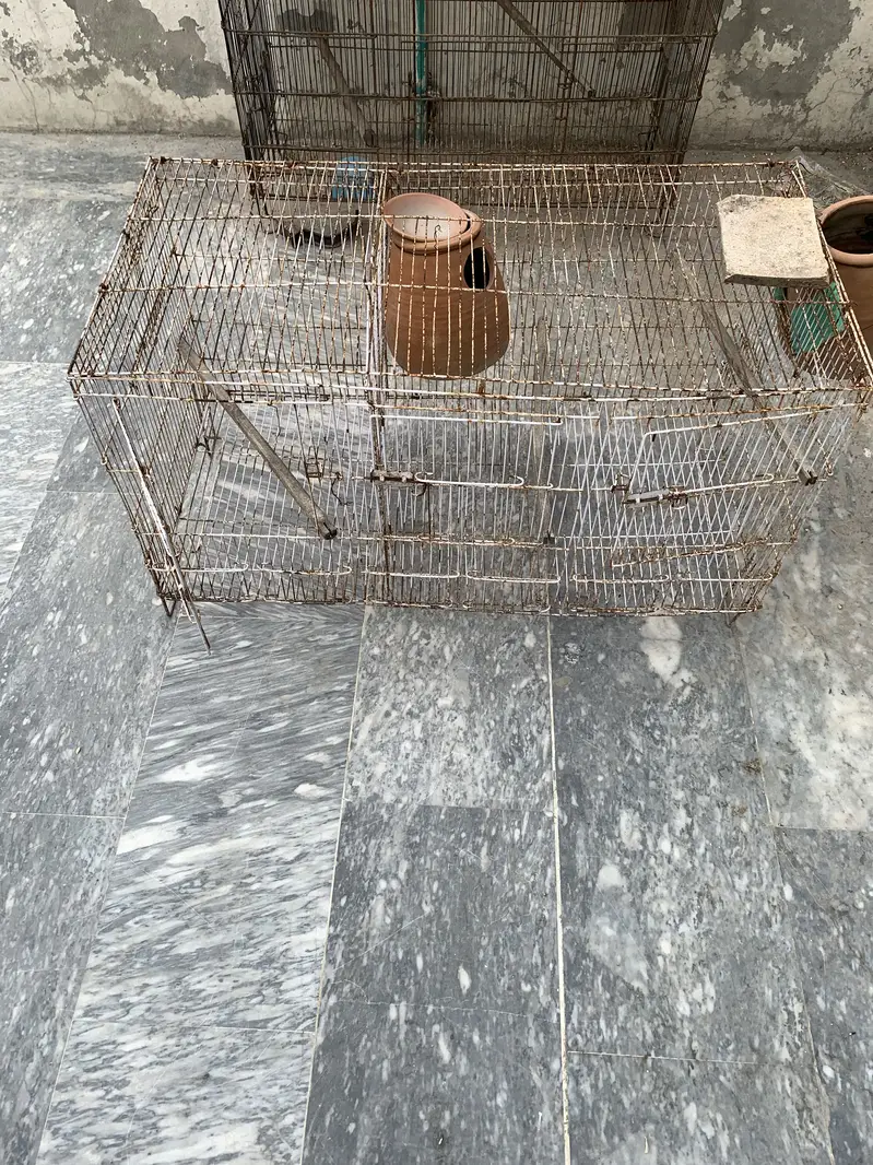 2 birds cages for sale — photo 3