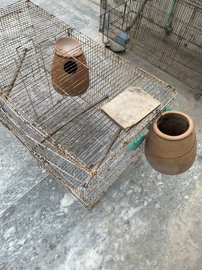 2 birds cages for sale — photo 4