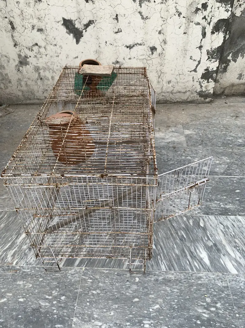 2 birds cages for sale — photo 5