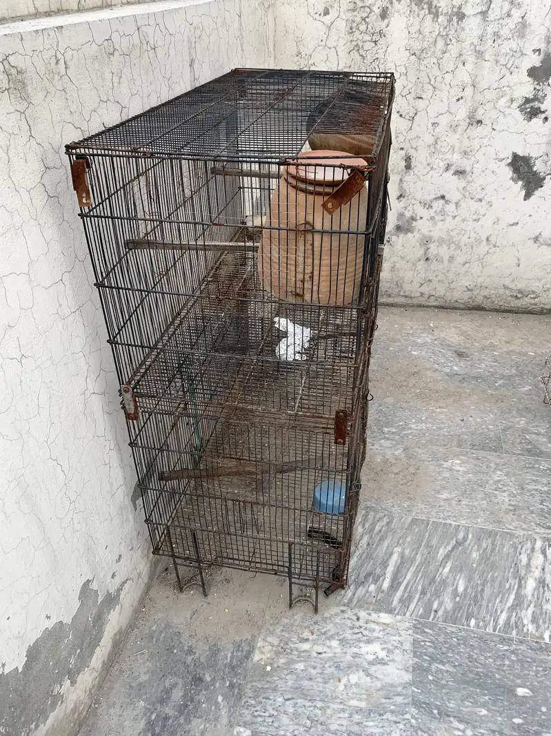 2 birds cages for sale — photo 6