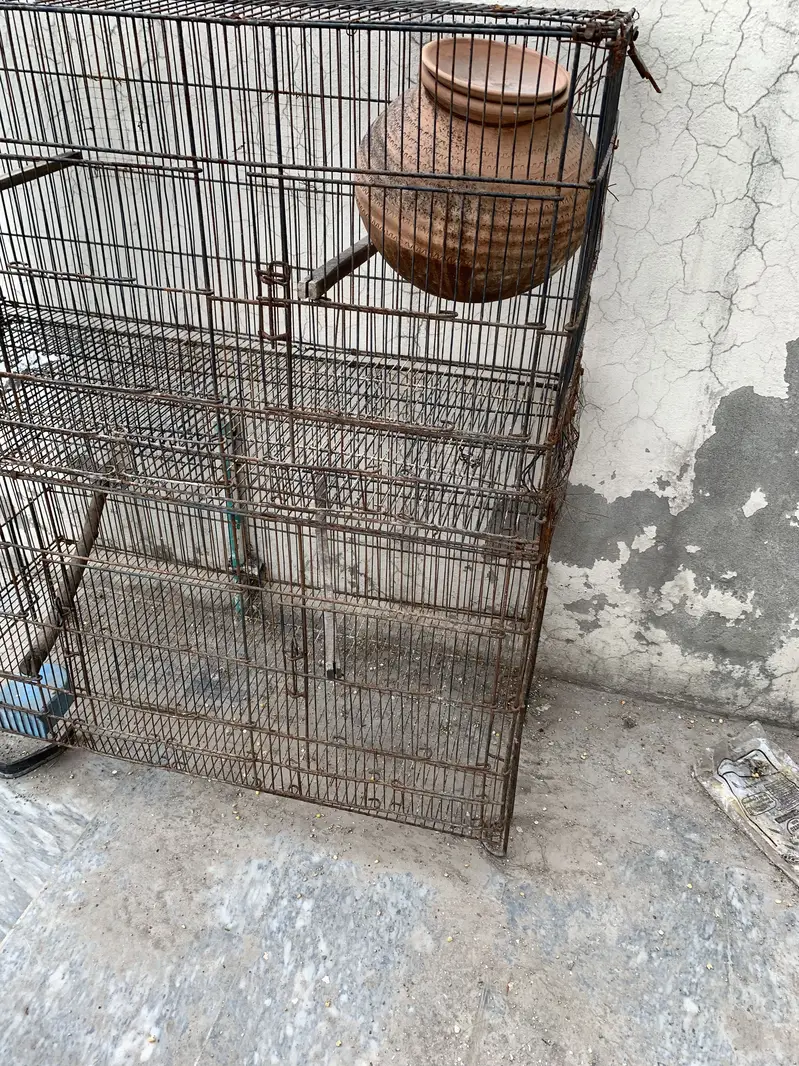 2 birds cages for sale — photo 7
