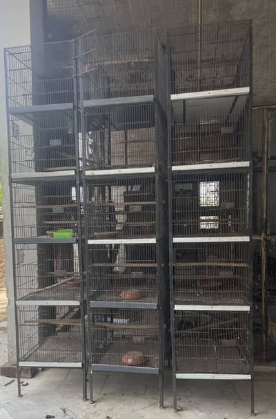 BIRDS CAGES AVAILABLE URGENT FOR SALE PLZ COME INBOX