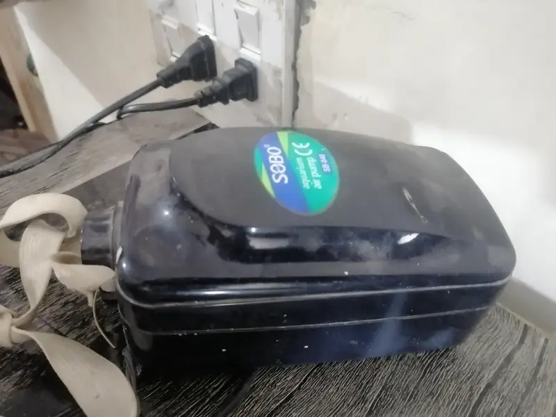 Fish Aquarium For sale With fishes and all accessories — photo 7