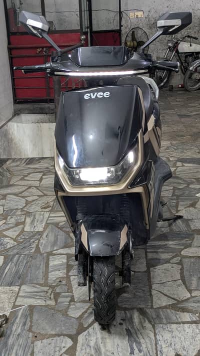 evee gen z golden black