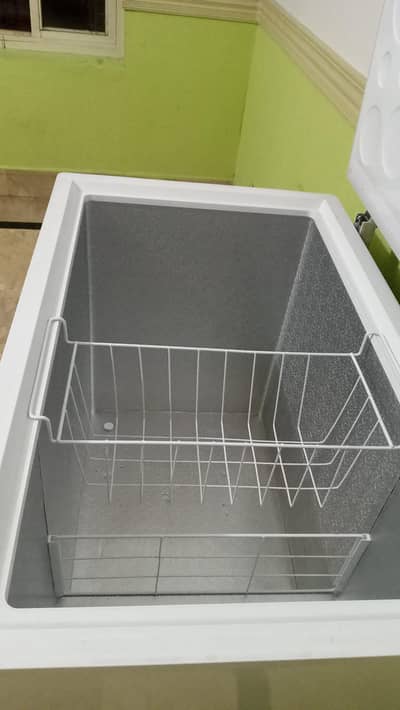 freezer 10/10