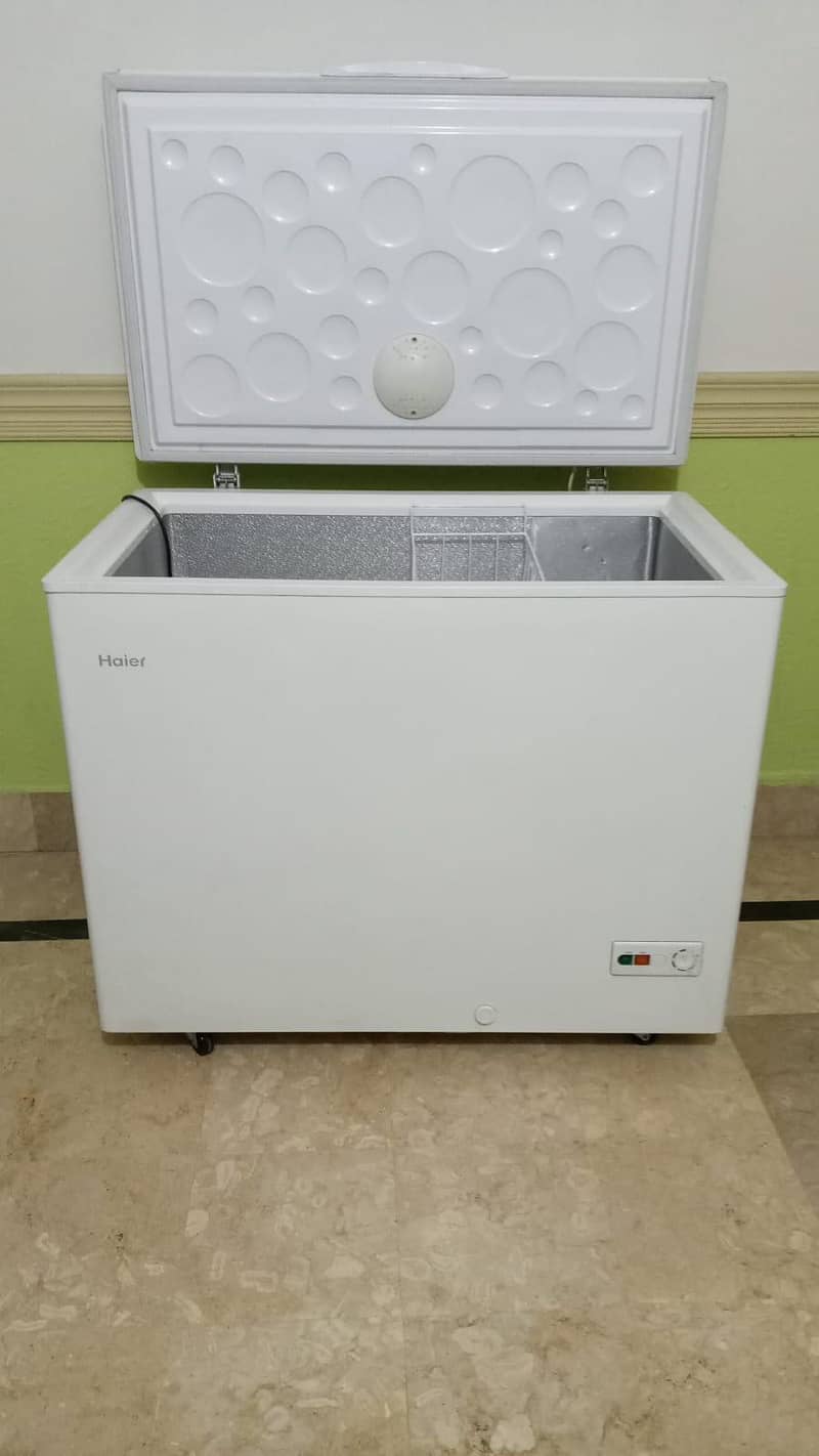 freezer 10/10 1