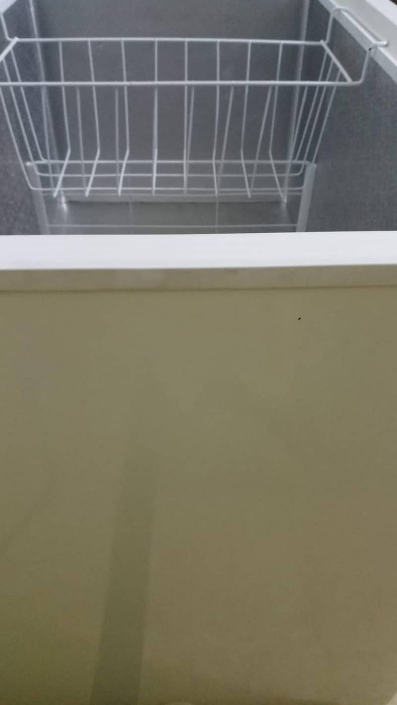 freezer 10/10 2
