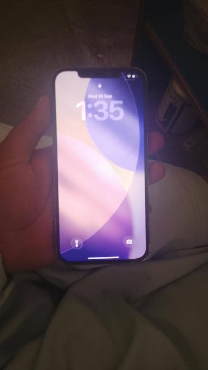 Apple iPhone 12 Pro Max 3