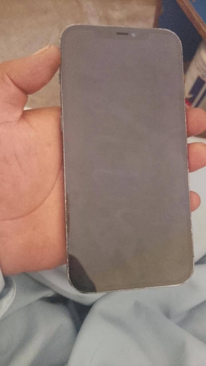 Apple iPhone 12 Pro Max 5