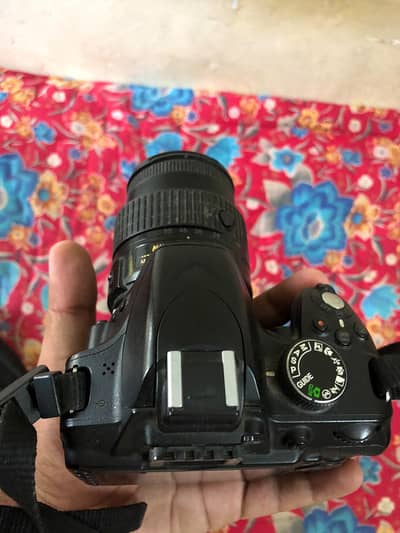 Nikion D 3200 with 18 - 65mm lens.