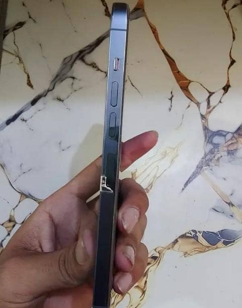 Apple iPhone 13 Pro Max 1